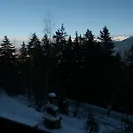 Brune-haute Anzère