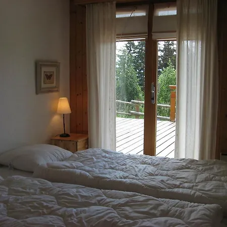 Brune-haute Anzère