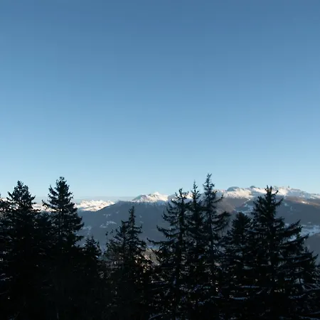 Brune-haute Anzère