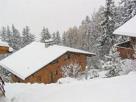 Brune-haute