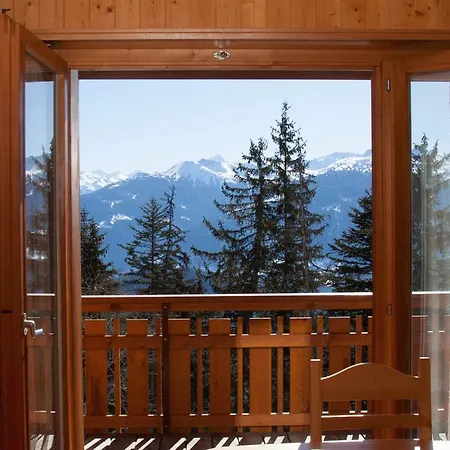 Brune-haute אנזיר